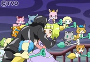 Jewelp 51b 02.jpg (20 KB)