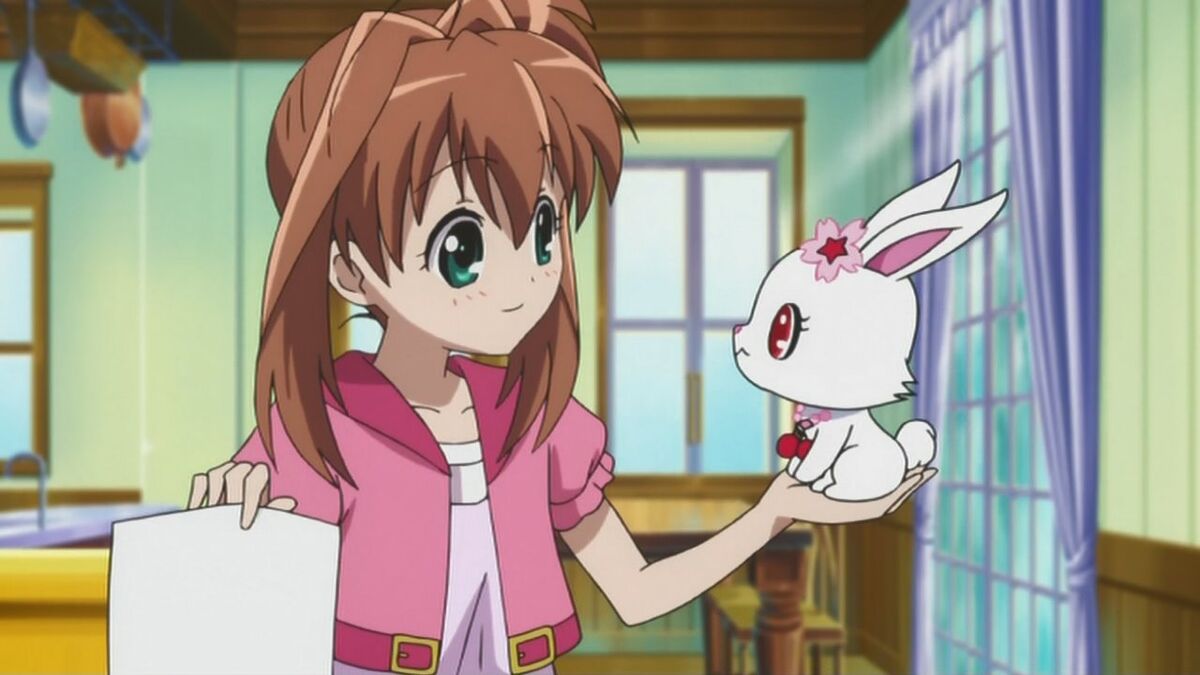 Jewelpet tinkle shop