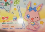 Luna and Milky's presentation (page 16).