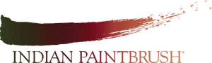 Indian Paintbrush logo
