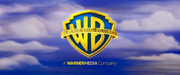Warner Bros. Pictures Logo (Warner Animation Group; Cinemascope)