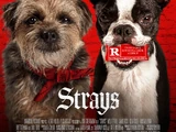 Strays (2023 film)