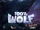 100% Wolf