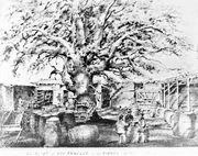 , a prominent  village, stood in the area before the Spanish founded Los Angeles.