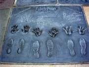 Radcliffe, Grint, and Watson were honored outside  at the Hand, Foot, and Wand Ceremony, , July 2007.