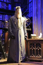 Albus Dumbledore's costume used in the film.