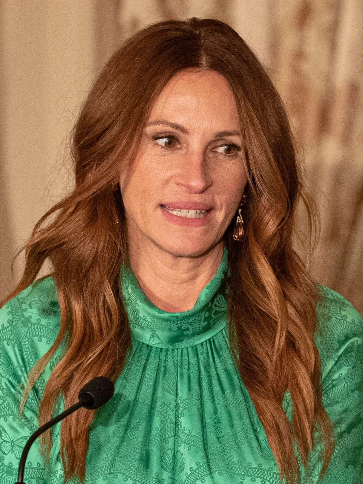 Julia Roberts | JH Wiki Collection 2.0 Wiki | Fandom, image size:1200x1600
