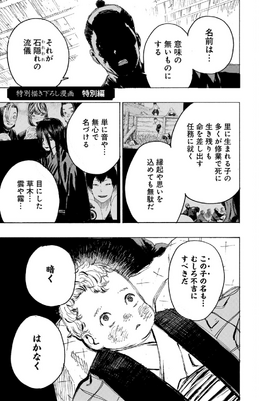 Special Chapter