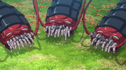 Paradise Centipedes