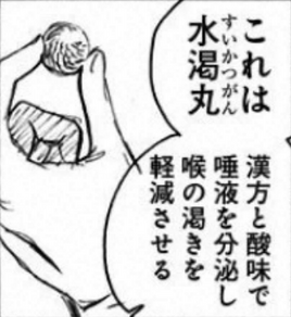 Suikatsugan