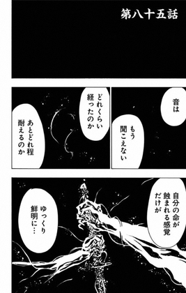 Chapter 85