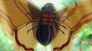 Human Butterfly