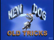 New Dog Old Tricks