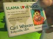 CarlLlamaLoveSociety