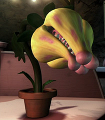 pitcher plant vore