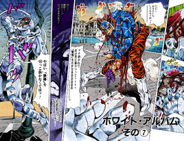 Cover B