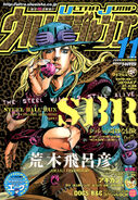 November 2008, SBR Chapter 67