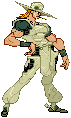 Hol Horse sprite in Heritage for the Future