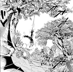 Jodio in a tree