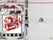 The cover of Volume 13 without the dust jacket