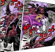 Um corvo sendo afetado pelo vírus.