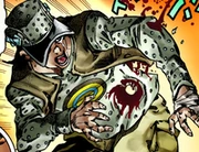 Andre boomboom holey