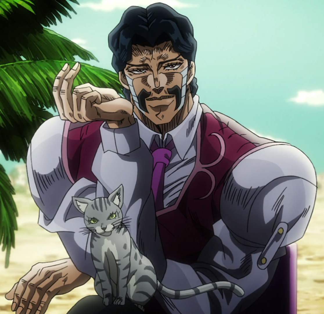 The Fool, JoJo's Bizarre Wiki, Fandom