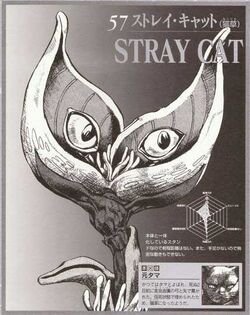 Stray Cat Jojo S Bizarre Wiki Fandom Stray Cat Jojo S Bizarre Wiki Fandom