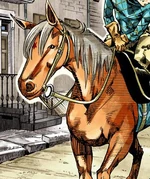List Of Horses In Steel Ball Run JoJo s Bizarre Wiki Fandom list-of-horses-in-steel-ball-run-jojo-s-bizarre-wiki-fandom