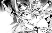 Rohan Captured
