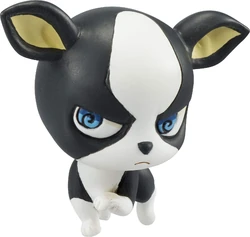 Iggy Jojo S Bizarre Wiki Fandom