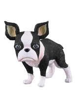 Includes Miniature Iggy Figure