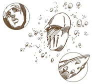 Catch the banana.webp (8 kB) Explicação da habilidade