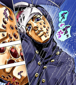 Catch the Rainbow | JoJo's Bizarre Wiki | Fandom