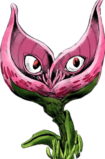 Stray Cat | Wiki JoJo's Bizarre Encyclopedia | Fandom