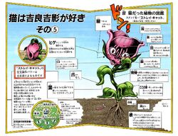 Stray Cat Jojo S Bizarre Wiki Fandom Stray Cat Jojo S Bizarre Wiki Fandom