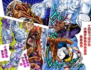 Pucci's death