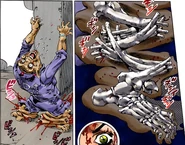 Estrutura óssea alterada por Annasui