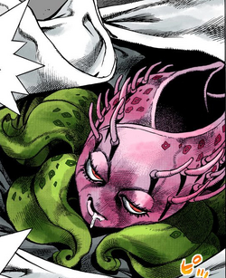 Stray Cat Jojo S Bizarre Wiki Fandom Stray Cat Jojo S Bizarre Wiki Fandom