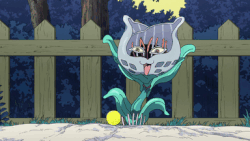 Featured image of post Cat Wind Up Bite Gif Share the best gifs now