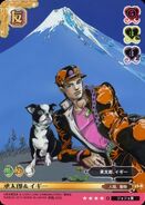 Jotaro & Iggy