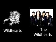 Wildhearts (stand) s'inspire du groupe The Wildhearts