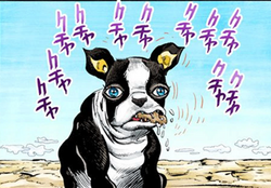 Iggy (JoJo's Bizarre Adventure: Stardust Crusaders) Sofvimates Dog