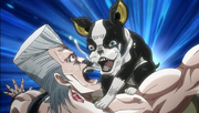 Iggy First AppearanceAnime.png
