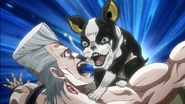 Iggy's first appearance attacking Polnareff