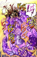 Star Platinum puts an end to Forever's life