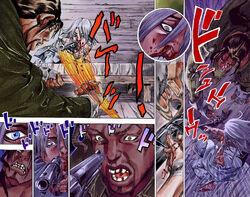 Ringo Roadagain - JoJo's Bizarre Encyclopedia