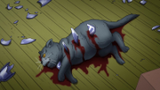 Morte de Tama