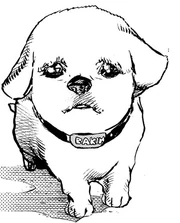 Bakin, Rohan's dog as a puppy.