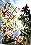 Os cactos usados por Robinson para atacar